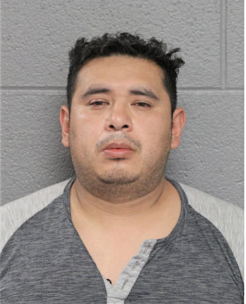 ENRIQUE L GUZMAN, Cook County, Illinois