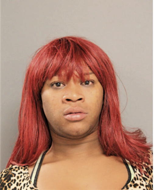 JEFFERY J HOLMES, Cook County, Illinois