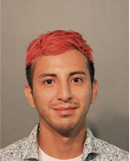 ALAN CUSTODIO HUERTA, Cook County, Illinois