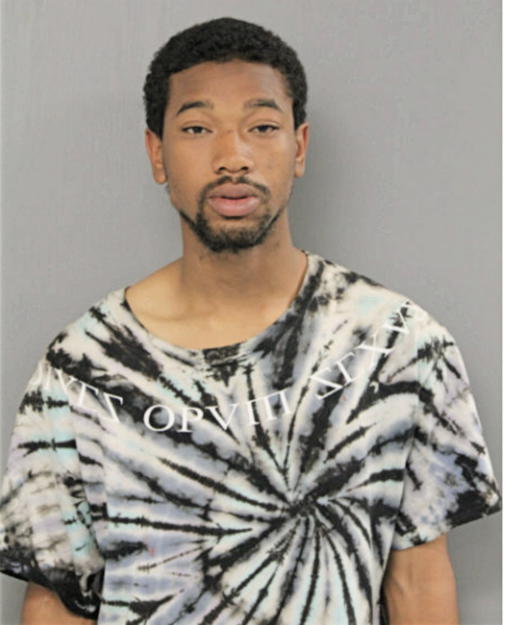 DERRELL D JOHNSON, Cook County, Illinois