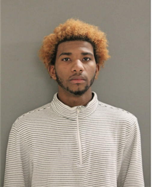 BRENDON N JONES, Cook County, Illinois