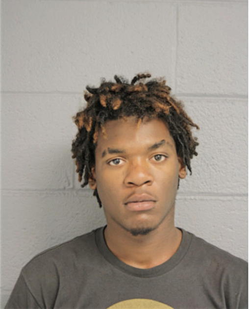 DERRICK J JONES, Cook County, Illinois