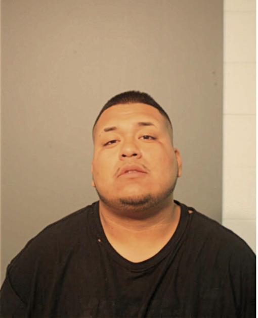 ARMANDO LAGUNAS, Cook County, Illinois