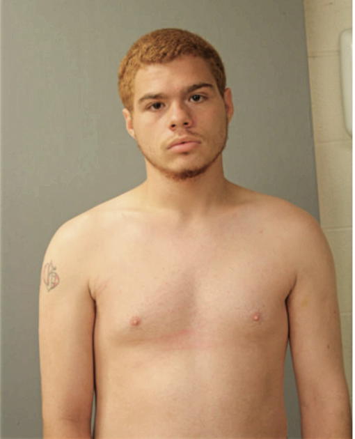 JUAN G LAUREANO, Cook County, Illinois