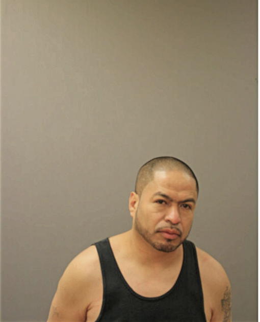 NOE MENDOZA, Cook County, Illinois