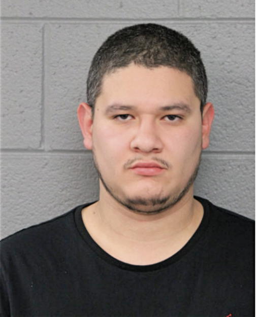 DAVID MERCADO, Cook County, Illinois