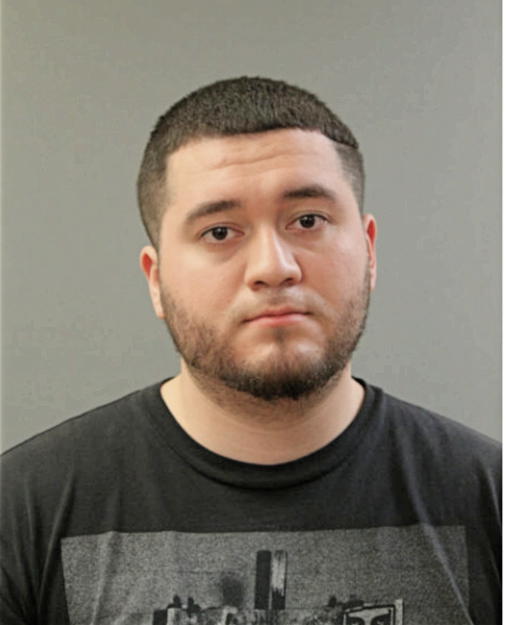JOSHUA J MONTANO, Cook County, Illinois
