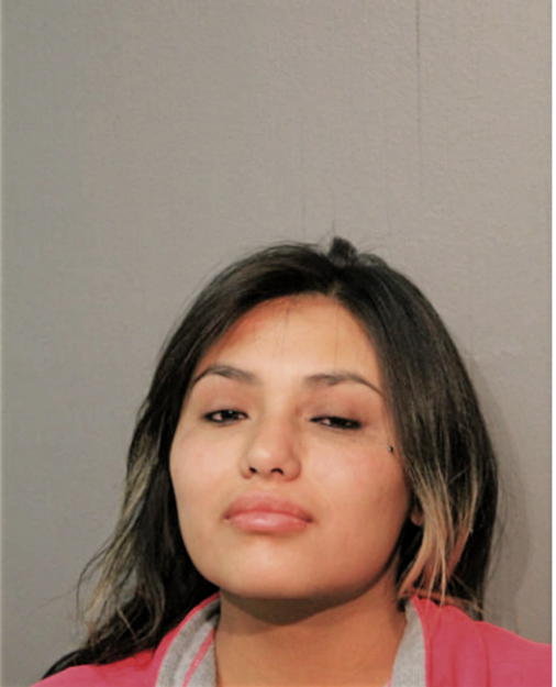 ALMA MONTEJANO, Cook County, Illinois