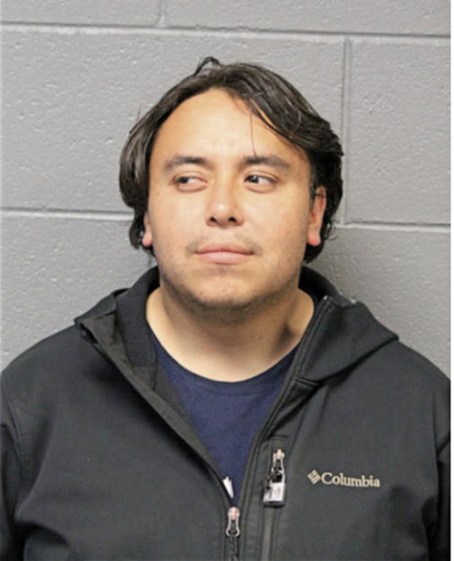 PABLO R OTAVALO, Cook County, Illinois