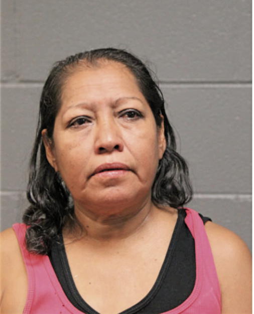 YASMIN M RENDON, Cook County, Illinois