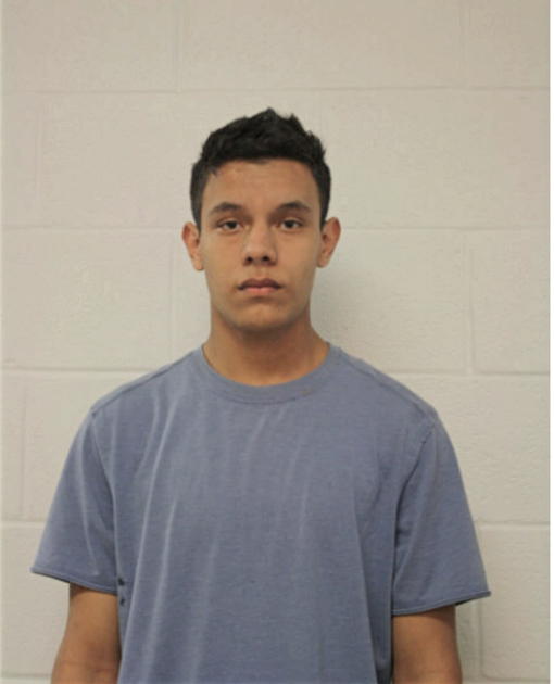 LUIS RODRIGUEZ, Cook County, Illinois