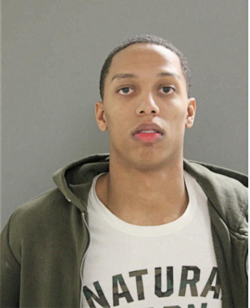 SEAN M THOMPSON, Cook County, Illinois