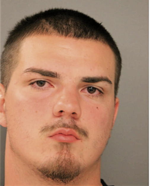 NIKO M VJESTICA, Cook County, Illinois
