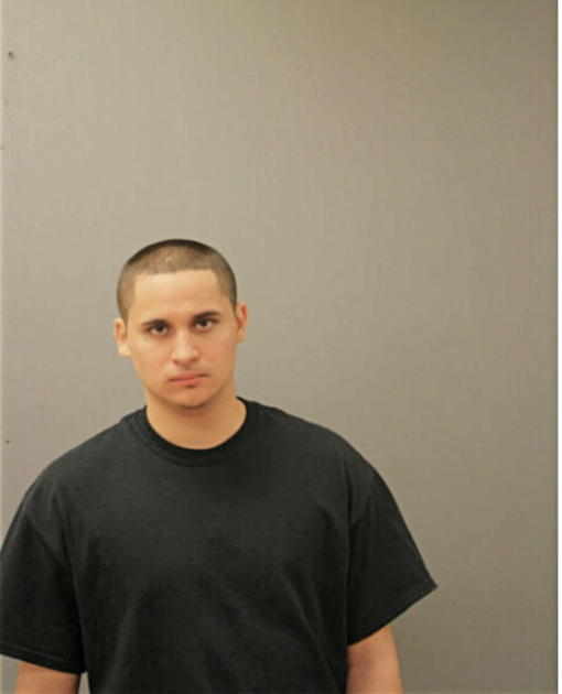 GIOVANNI ZETANI, Cook County, Illinois