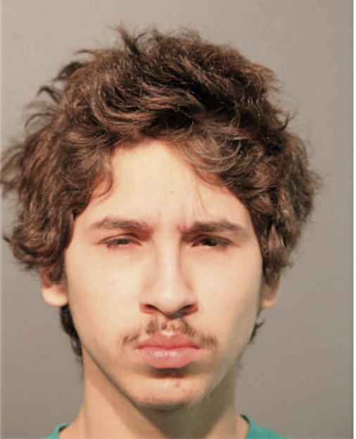 GIOVANNY ALVARADO, Cook County, Illinois