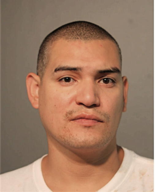 EDGAR D AMAYA, Cook County, Illinois