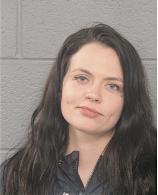 MEGHAN K BENSON, Cook County, Illinois