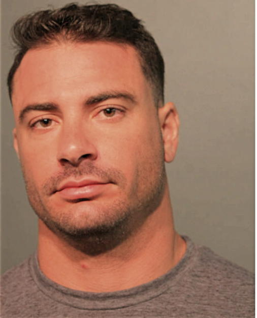 DANIEL J BONARDI, Cook County, Illinois
