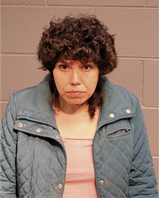 SOPHIA T CERVANTEZ, Cook County, Illinois