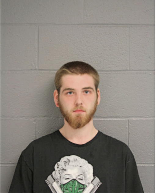 DENNIS A CHAPLES, Cook County, Illinois