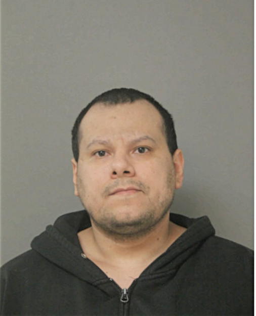 LUIS M DELGADO, Cook County, Illinois
