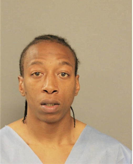 AARON J DISHMON, Cook County, Illinois