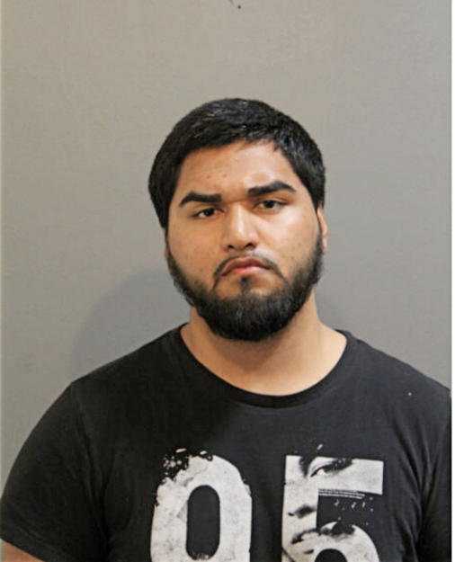 JOEY N FLORES, Cook County, Illinois