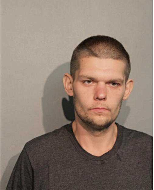 MAXIM GANZENKO, Cook County, Illinois