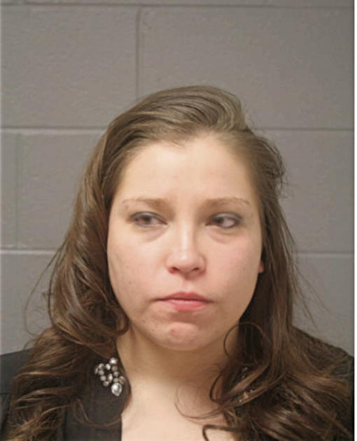 MEGHAN L IBARRA, Cook County, Illinois