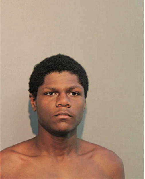 JARID L JEFFERSON, Cook County, Illinois