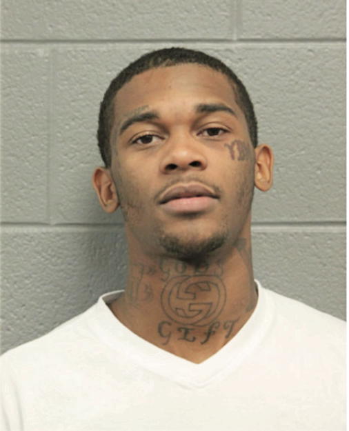 TION T LEWIS, Cook County, Illinois