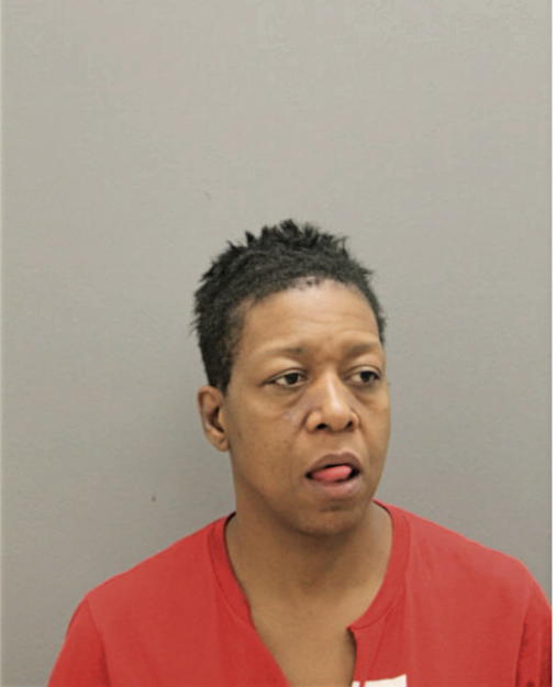 KIMBERLY T NUNN, Cook County, Illinois