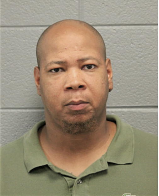 DAVID A PALMER, Cook County, Illinois