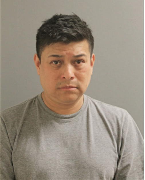LUIS ENRIQUE PUGA DIAZ, Cook County, Illinois