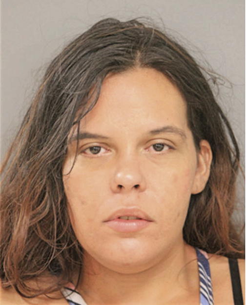 ERICA A ROSALES, Cook County, Illinois