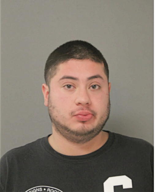 MARCELLO E ROSALES, Cook County, Illinois