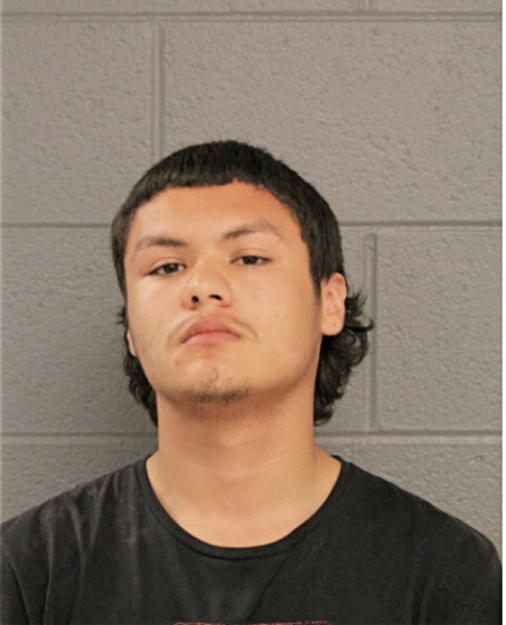 JORGELUIS TORRES, Cook County, Illinois