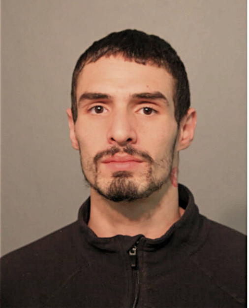 PRIMITIVO TORRES, Cook County, Illinois