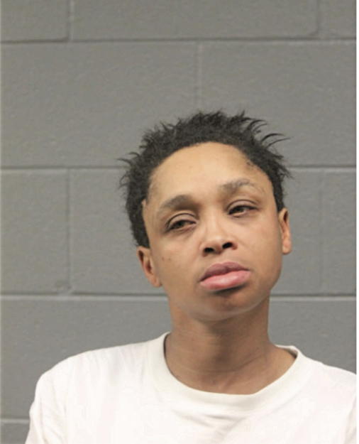 LISA M WEEKS, Cook County, Illinois