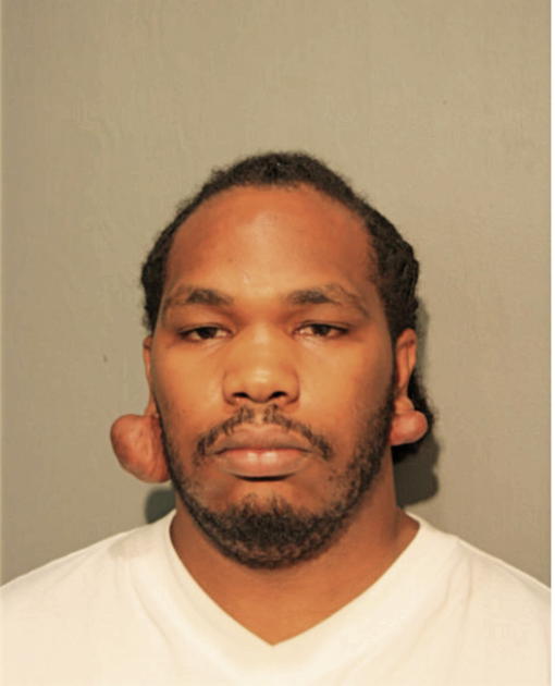 JAMES E WILLIAMS, Cook County, Illinois