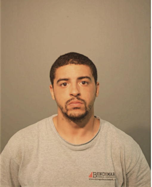 BRANDON R WOLF, Cook County, Illinois