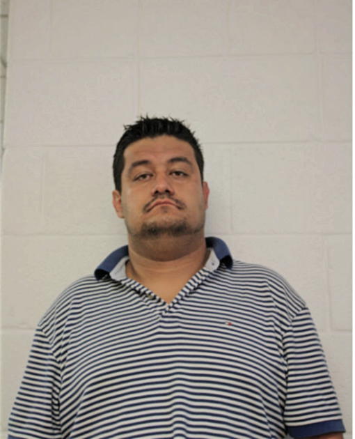 HECTOR L ALVAREZ, Cook County, Illinois