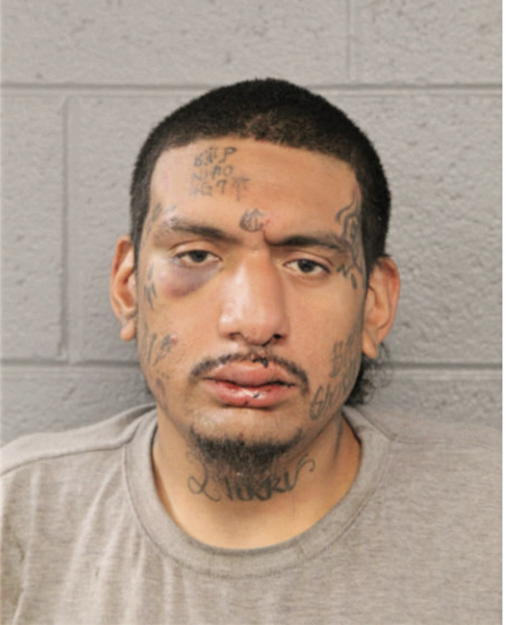 HUGO CESAR ANDERSON, Cook County, Illinois