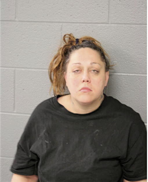 TRACEY L ANDERSON, Cook County, Illinois