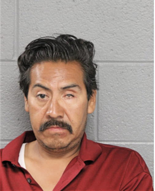 RUAL ARENAS, Cook County, Illinois