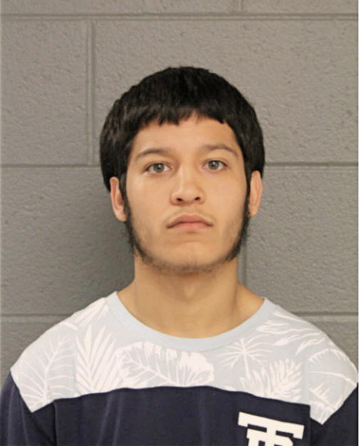 ANTONIO J BEDJAOUI, Cook County, Illinois