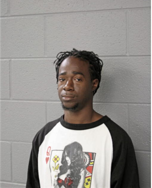 JOEY A BRANDON, Cook County, Illinois