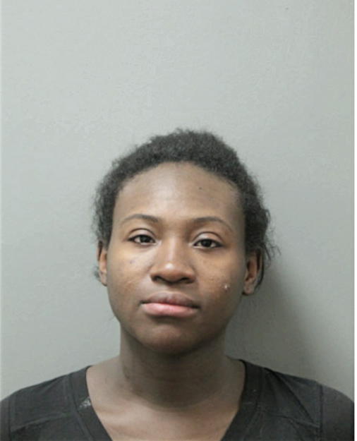 KARMIN L CANNON, Cook County, Illinois
