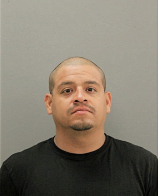 JOSE G CASTANEDA, Cook County, Illinois