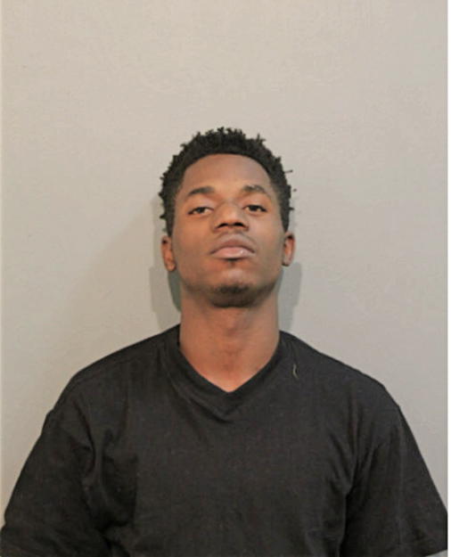 ANDRE A DAVIS, Cook County, Illinois